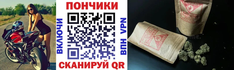 как найти Чита Конопля THC 21%